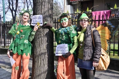 “Salviamo i tigli”, i colognesi manifestano per gli alberi di viale Emilia