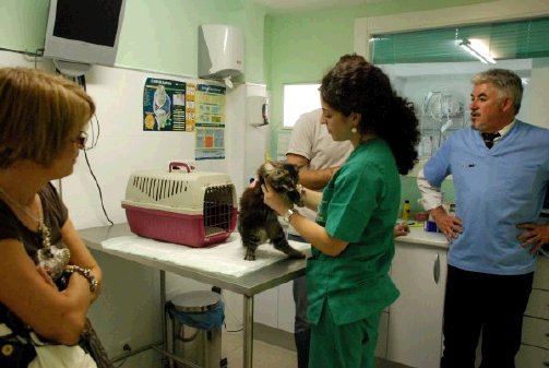 Una clinica gratuita per gli animali, a due passi dal Nordmilano
