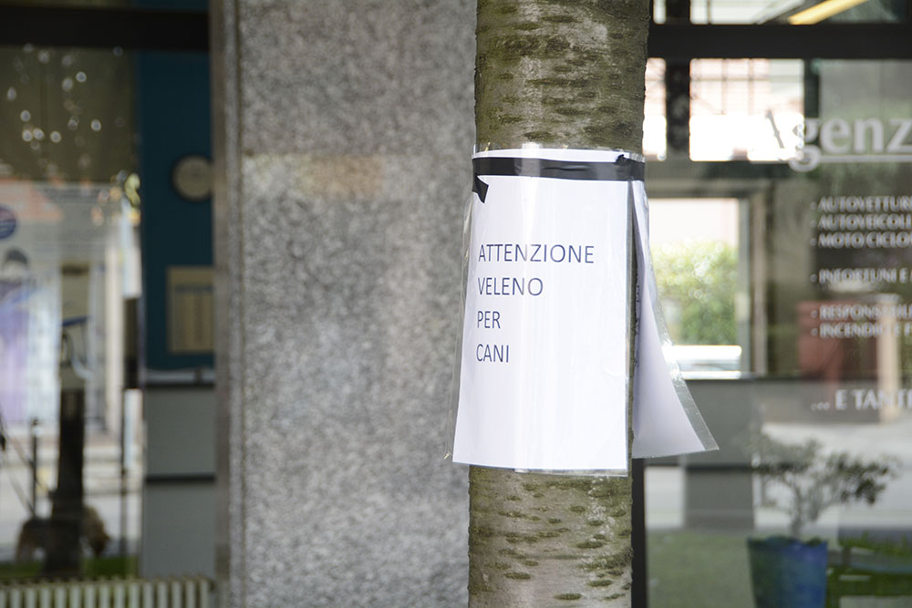 cusano aiuola con veleno per cani attenzione
