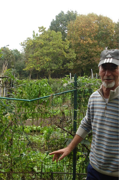 Troppi danni e furti: i pensionati lasciano gli orti del Parco Nord