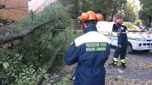 alberi caduti cinisello - protezione civile