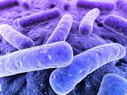 Cinque casi di Legionella a Bresso, in corso le analisi