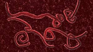 Ebola, secondo falso allarme scatena il timore in pronto soccorso