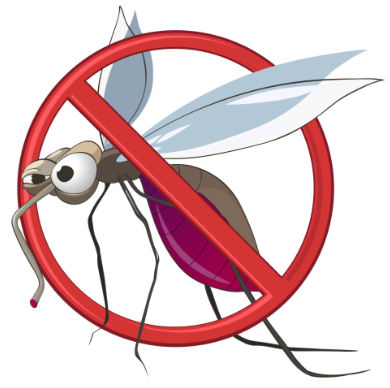 Primi interventi anti-zanzare a Cusano: il programma