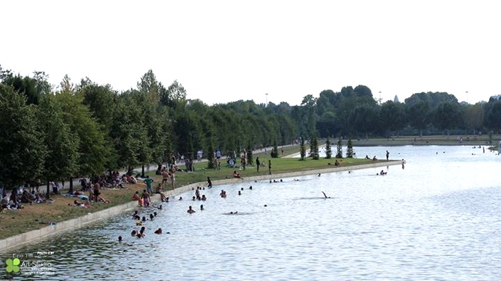 Tuffi e multe al lago del Parco Nord