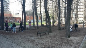 genitori-scuola-breda1