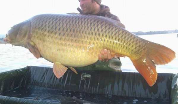 Chioschi sul Lambro e contributi per i profughi: i Pesci d’Aprile del Nordmilano