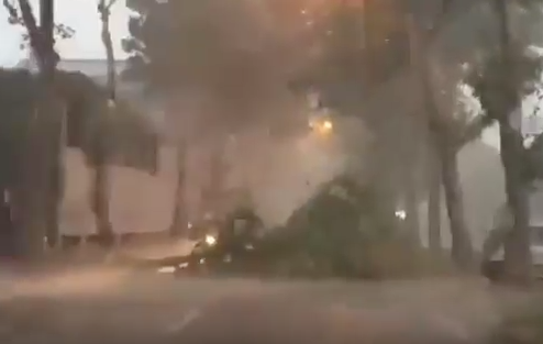 Temporale sul Nordmilano, cade un albero in strada a Cinisello (video)
