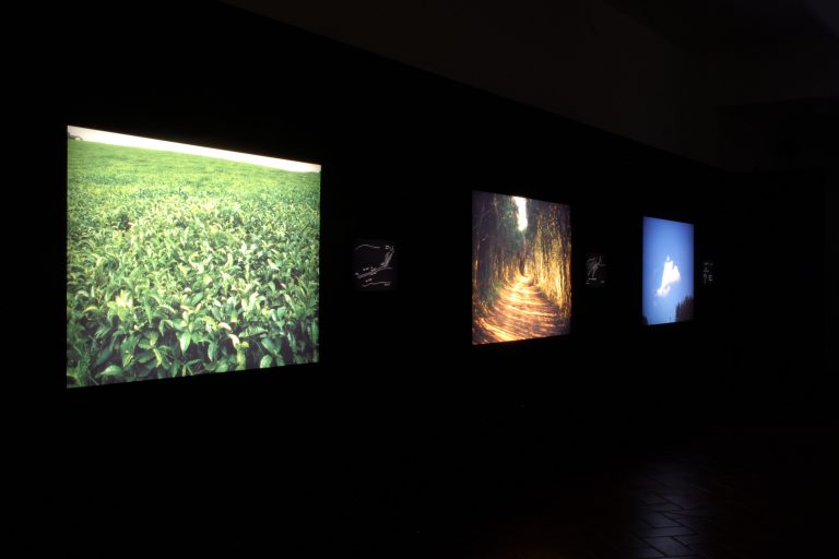 Anche il MuFoCo aderisce a MuseoCity: alla scoperta dell’opera segreta…