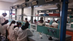 Collegio della Guastalla 