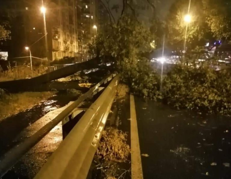 Nord Milano: forte piogge, allagamenti ed alberi spezzati