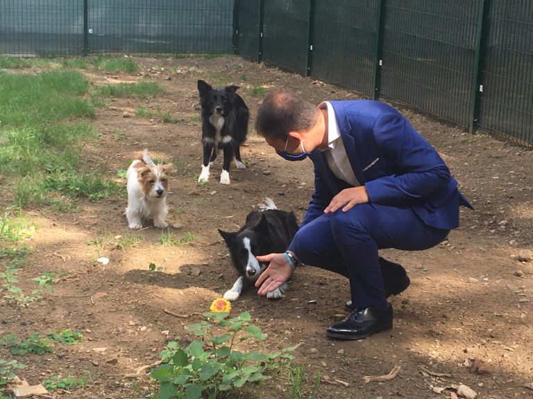Sesto San Giovanni, inaugurata la nuova area cani nel parco Crisafulli