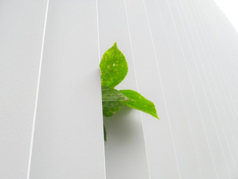Imprese: la green economy può aiutare contro la crisi