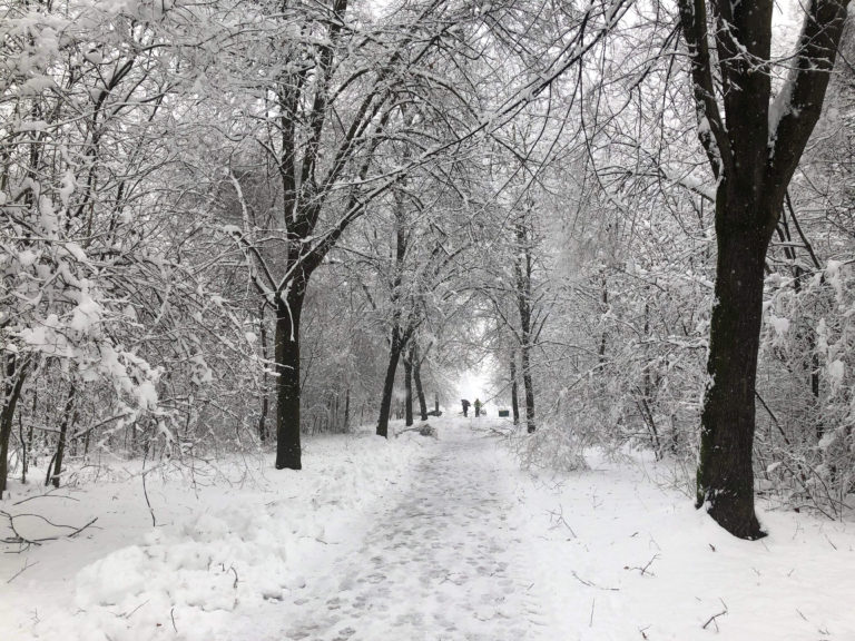 Nord Milano sotto la neve. Ecco le vostre foto (4). Inviate le vostre immagini entro la mezzanotte del 31/12/2020