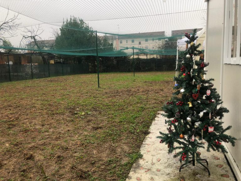 Sesto San Giovanni, il Comune vince un bando per aumentare i posti nell’oasi felina
