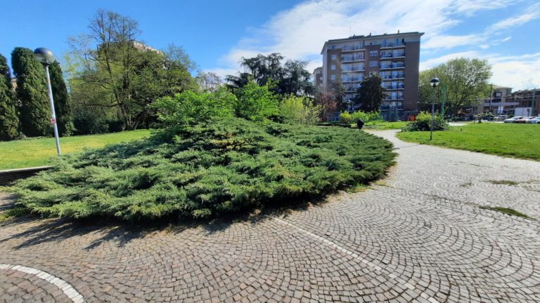 Cinisello Balsamo, in corso i lavori di potatura siepi e alberi con ripulitura del sottobosco al Parco Alpini d’Italia