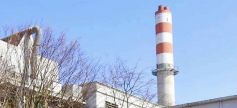 Sesto San Giovanni, 56 nuovi alberi ad alto fusto vicino alla Biopiattaforma ZeroC