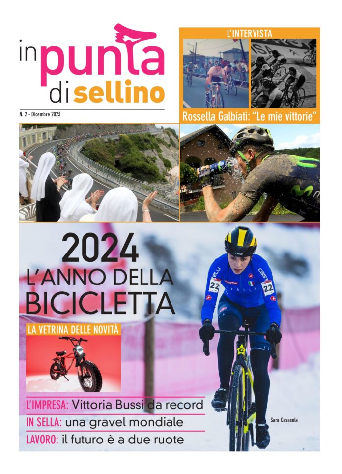 In Punta di sellino