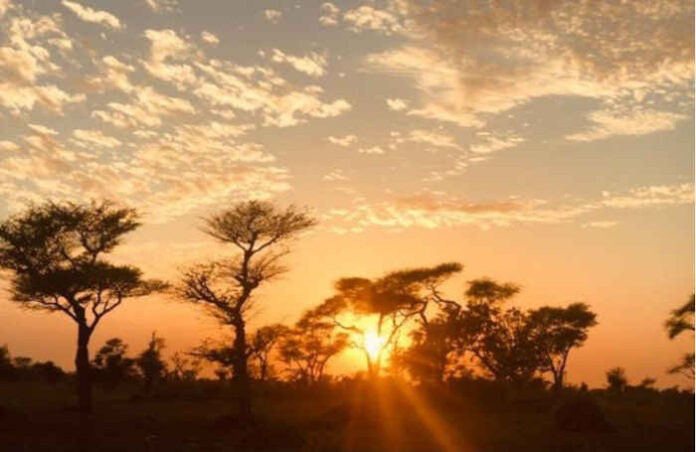 Dakar
