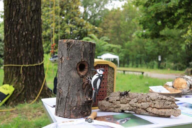Parco Nord, al via il Festival della Biodiversità-Trame Viventi