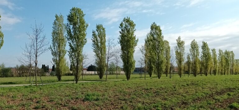Paderno Dugnano: “aGREENment”, per una strategia della transizione climatica