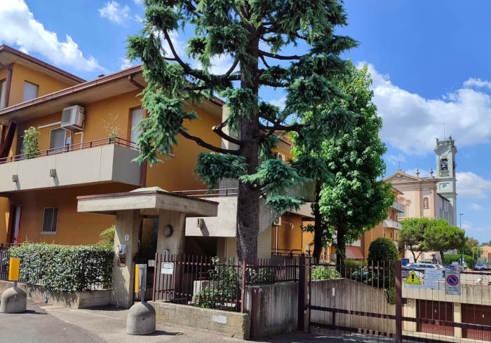 Felisari